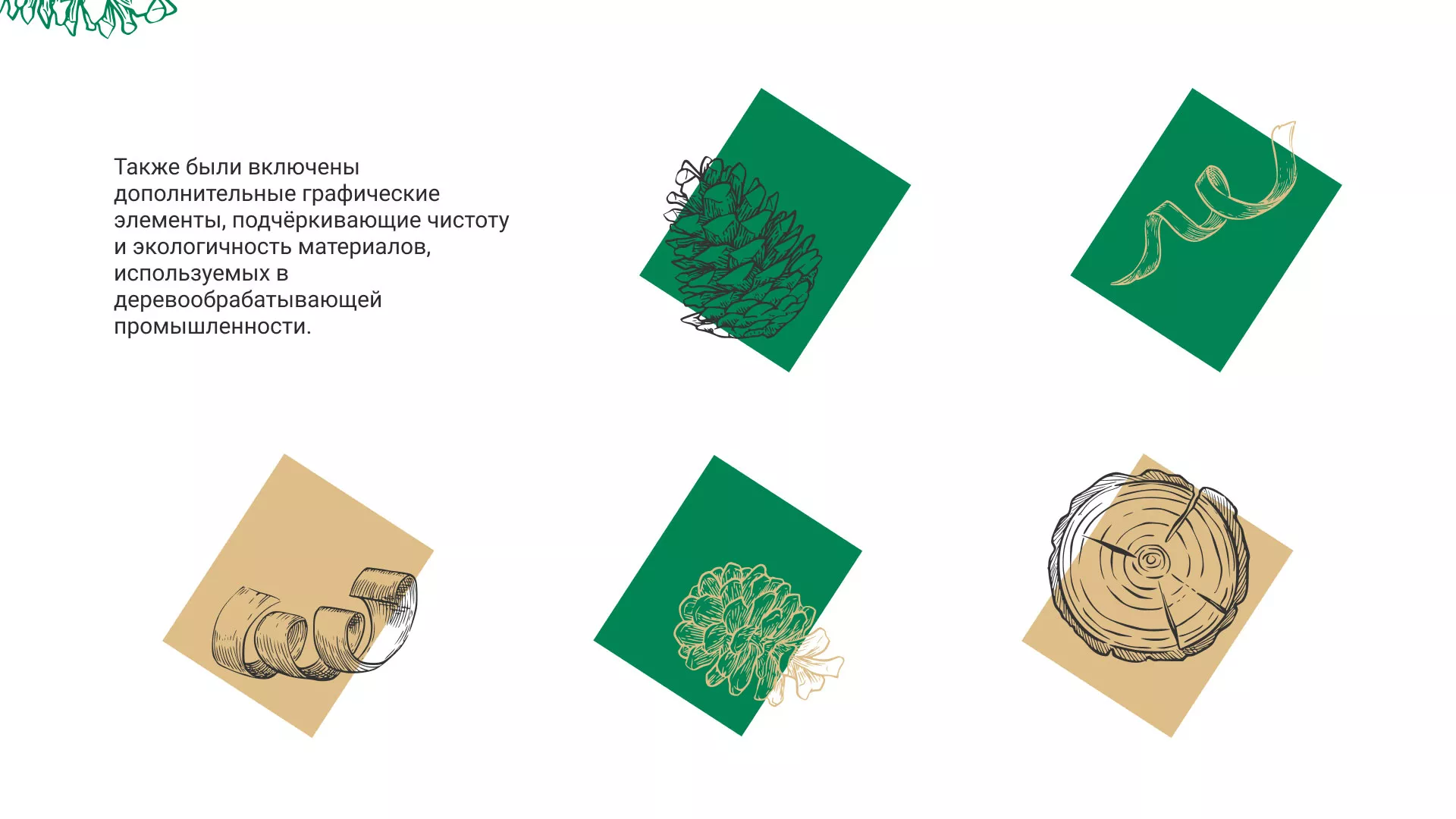 Разработка айдентики и сайта компании «Plastwood» в Зеленограде