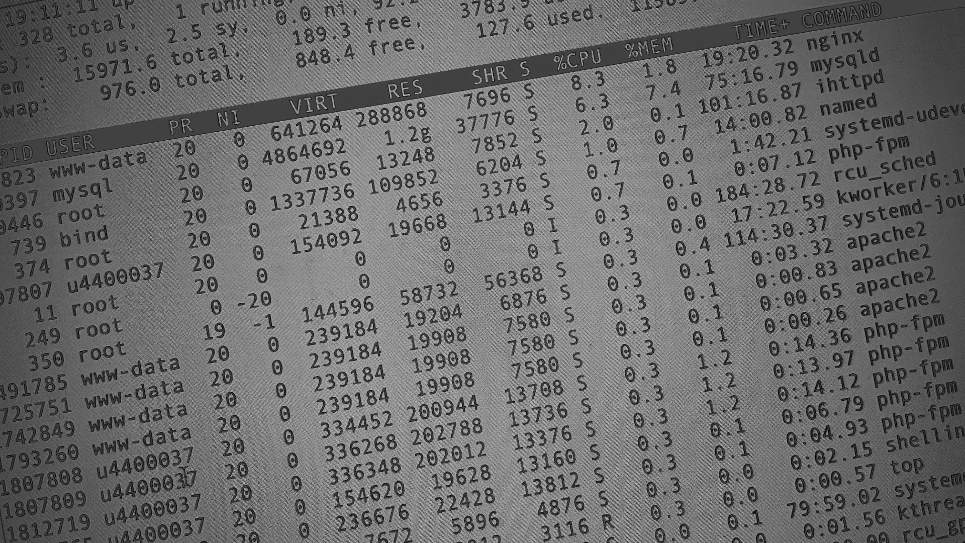 Настройка сервера в Зеленограде Настройка сервера в Зеленограде